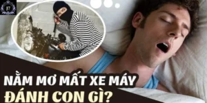 Phân tích về nằm mơ thấy mất xe đánh số may